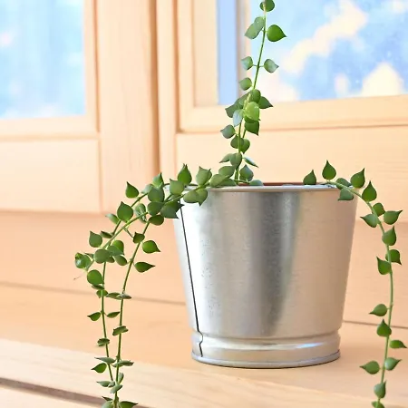 Appartement Clos De Morthey A R 01 By Interhome *