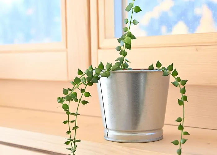 아파트 Clos De Morthey A R 01 By Interhome *